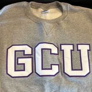 Champion Gray and Purple Crewneck Sweatshirt